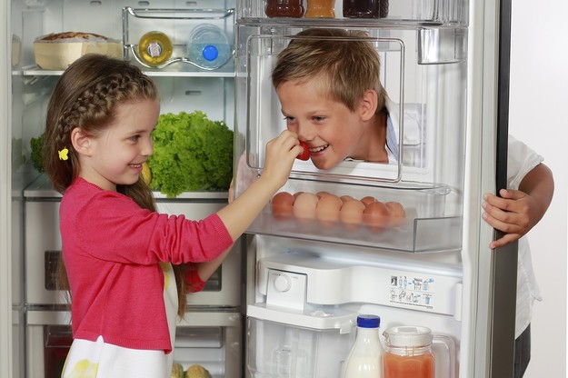 Các bệnh thường gặp ở tủ lạnh
